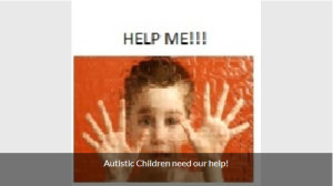 ASD/Autism Fundraising